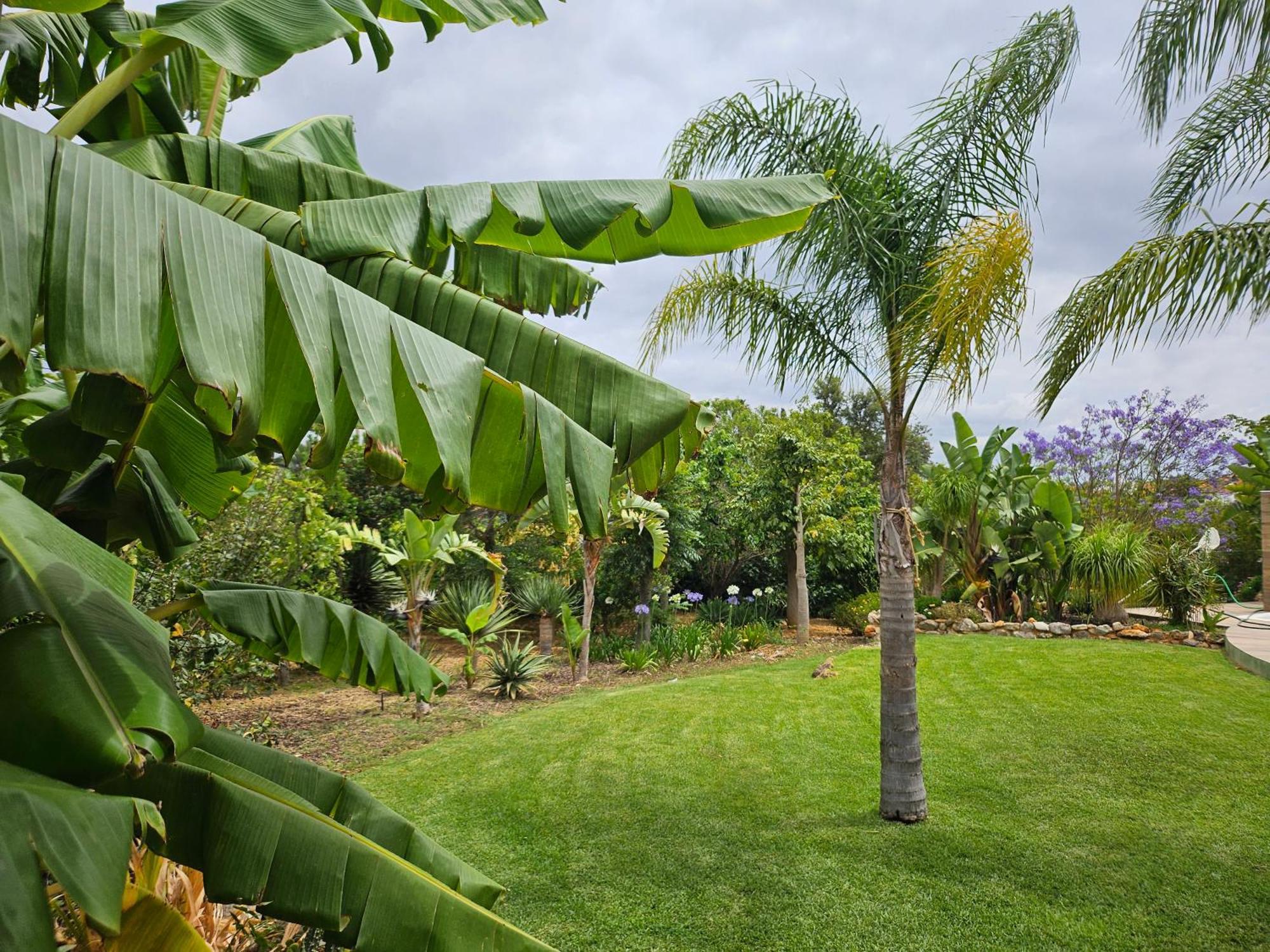 Vila Das Petalas By Atlantichotels ポルティマン エクステリア 写真